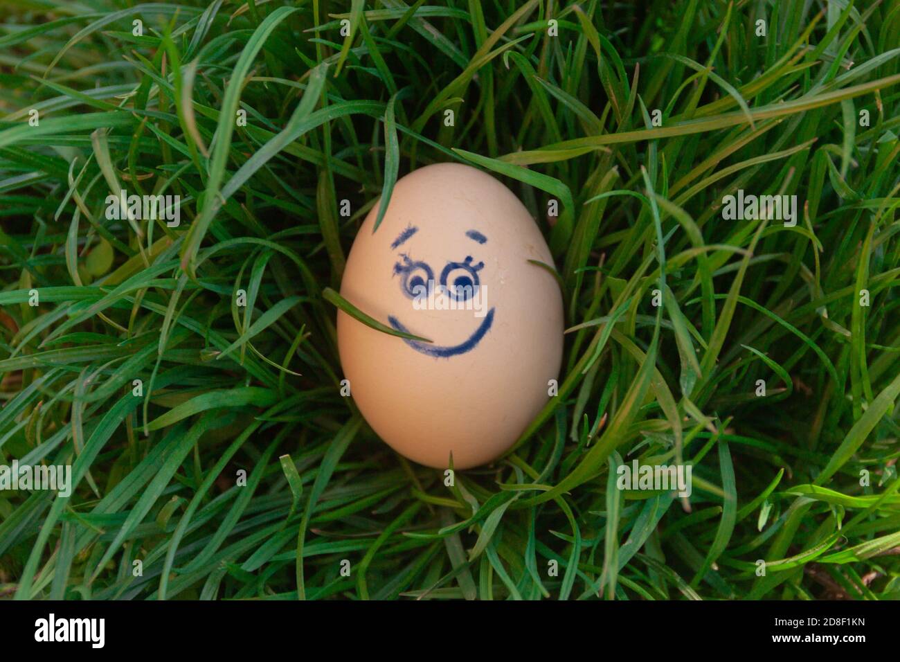 Easter egg with painted eyes and a smile lies in the bright green lawn grass. Funny colorful spring background for happy easter. Stock Photo