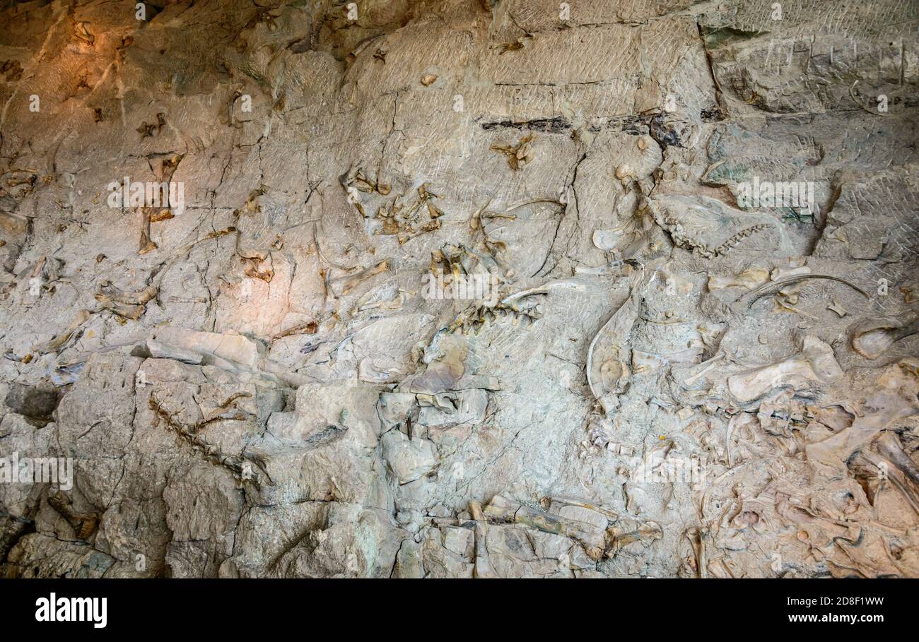 Dinosaur National Monument Stock Photo Alamy