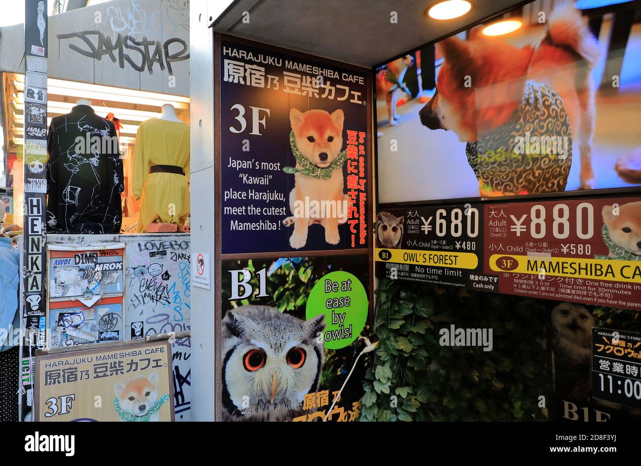 Entrance of a pet cafe in Takeshita Street.Harajuku.Tokyo.Japan Stock Photo