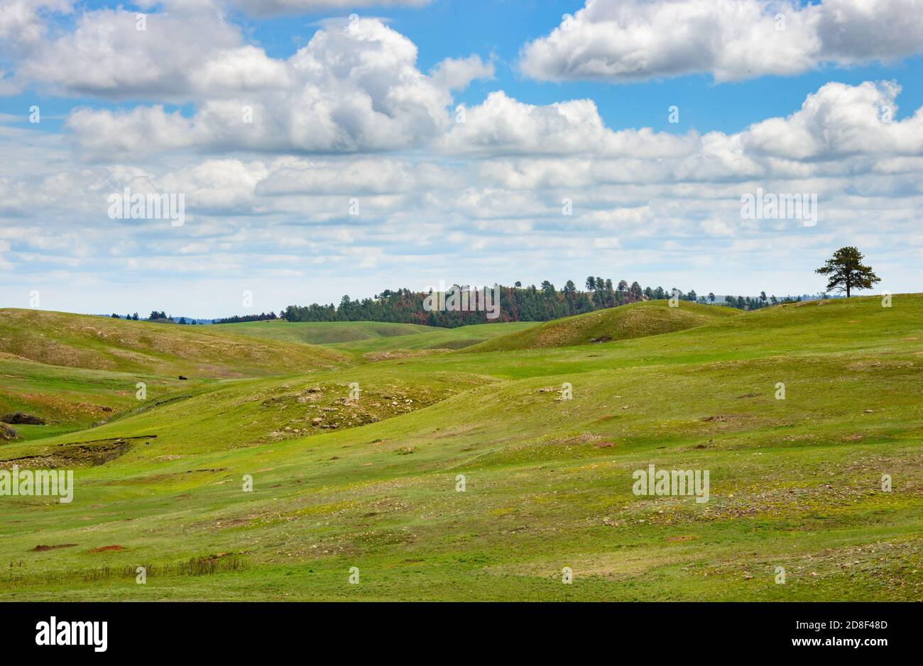 Wind Cave National Park Stock Photo - Alamy