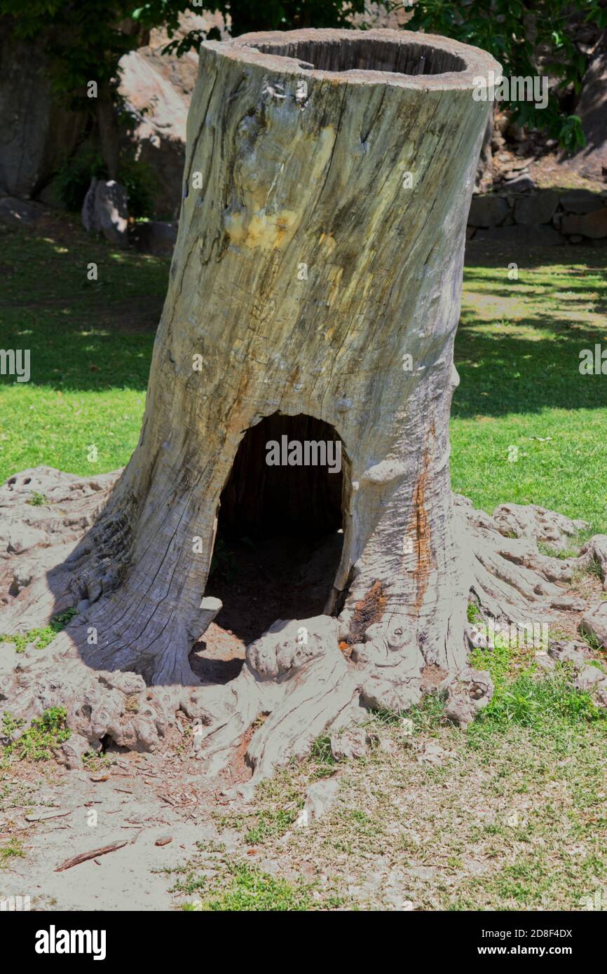 a burrow or kennel made from the trunk of a dry chestnut tree Stock Photo