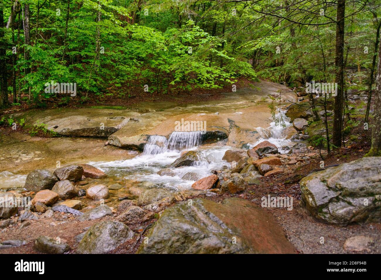 Franconia Notch State Park Stock Photo Alamy