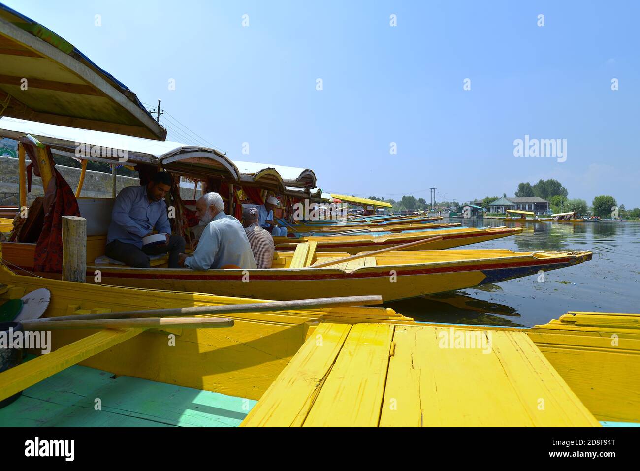 Long flat-bottomed wooden boats, shikaras, on the Dal Lake in Srinagar, Kashmir Stock Photo