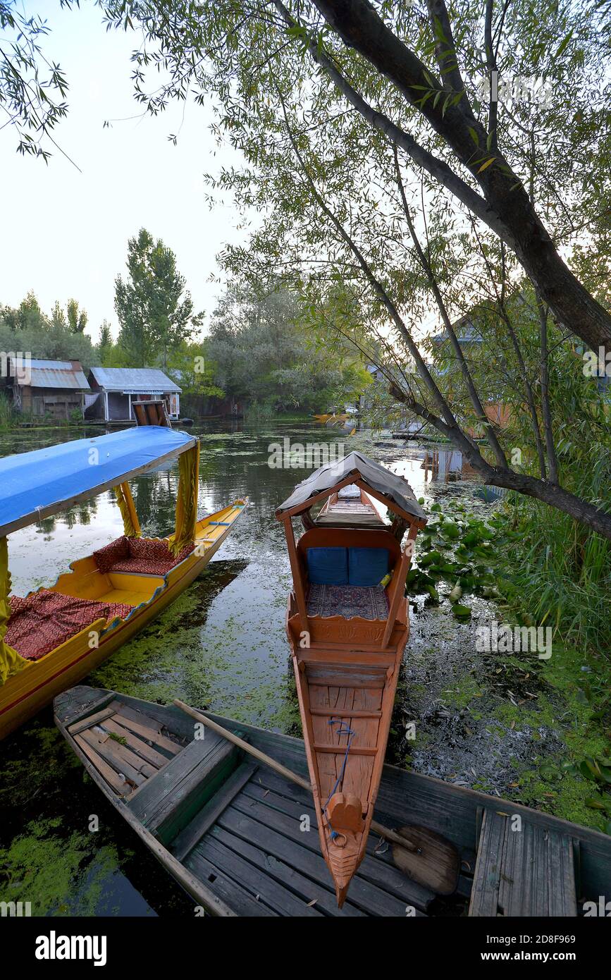 Long flat-bottomed wooden boats, shikaras, parked on a backwater canal of the Dal Lake in Srinagar, Kashmir Stock Photo