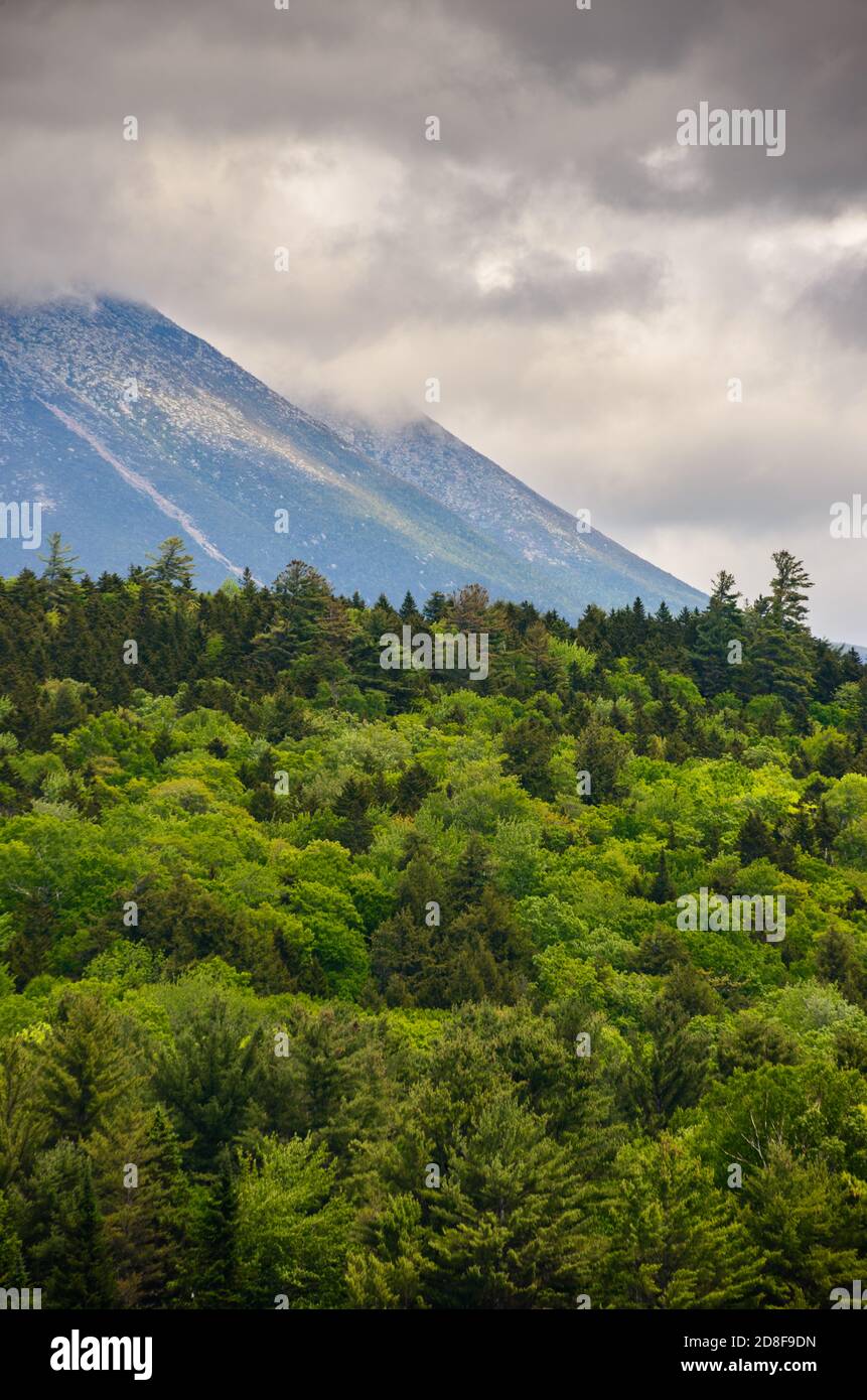 Maine North Woods Stock Photo Alamy