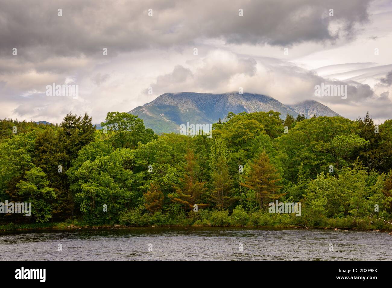 Maine North Woods Stock Photo Alamy
