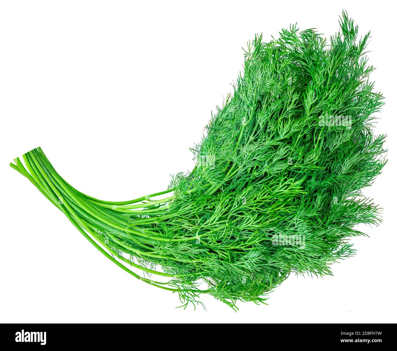 Dill  herb isolated on a white background. Top view. Macro Stock Photo