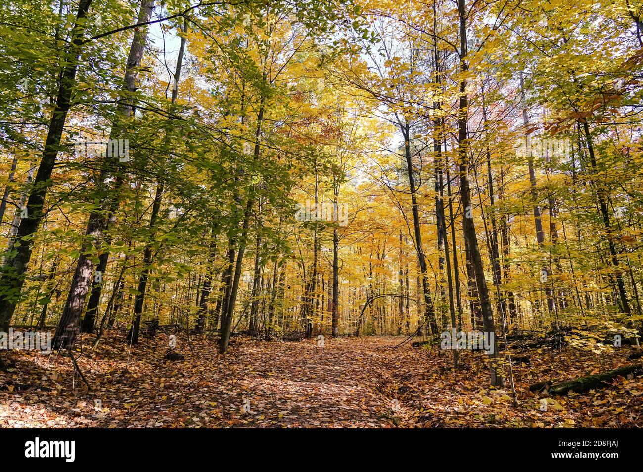 Fall season in canada stock photo alamy