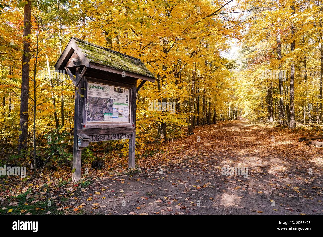 start of a hiking trail in canada during the fall autumn season yellow ...