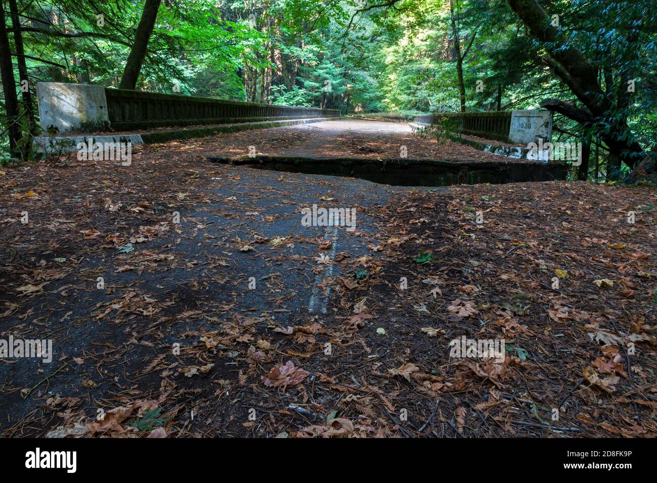 Abandoned bridge over Jordan Creek on the Avenue of the Giants and US 101 near Pepperwood along the Redwood Highway in Northern California. Closed to Stock Photo