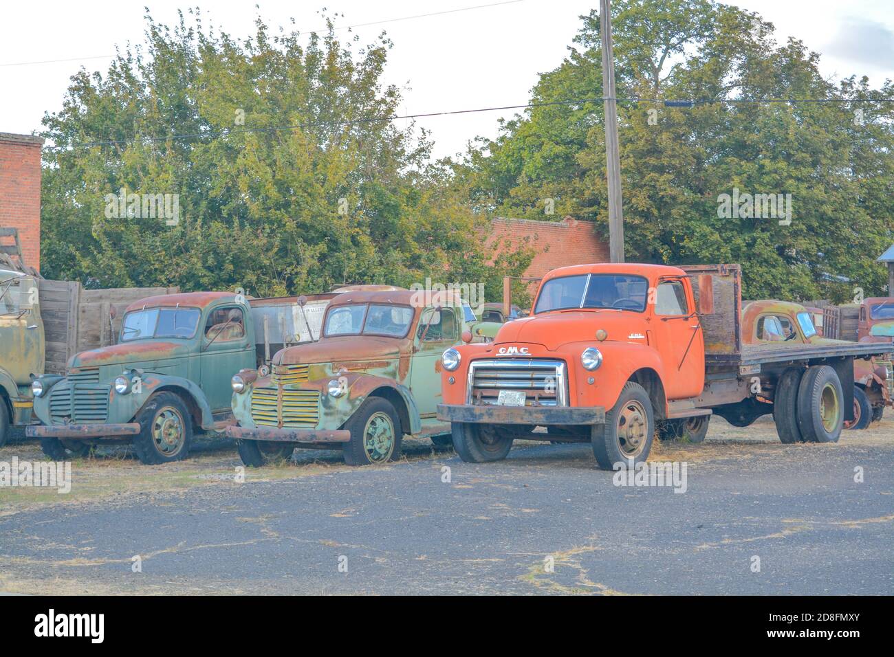 A collection of antique trucks ready to be restored in Sprague, Washington Stock Photo