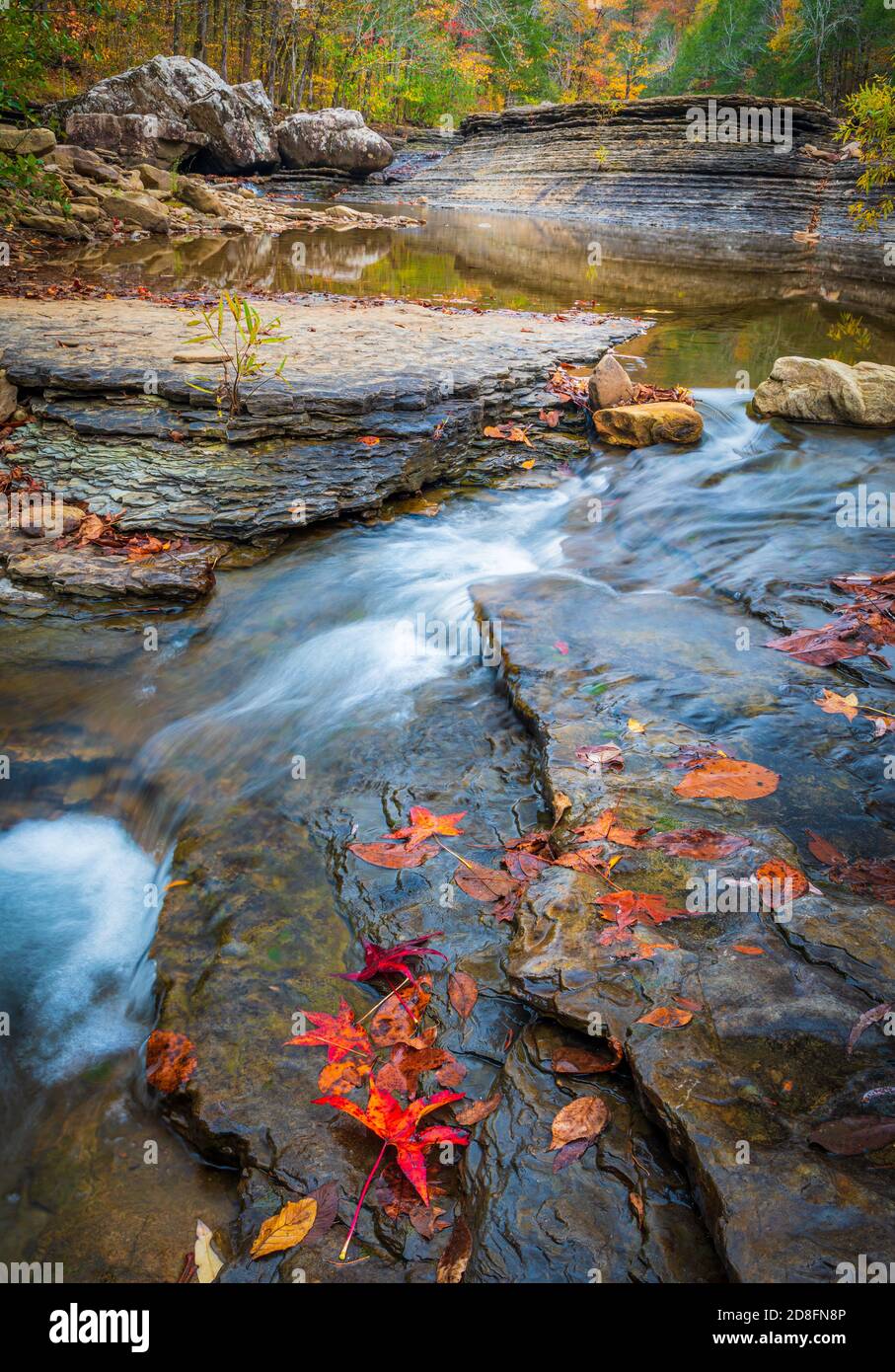 Six Finger Falls is a natural wonder in the Richland Creek area of south Newton county in north Arkansas. Stock Photo