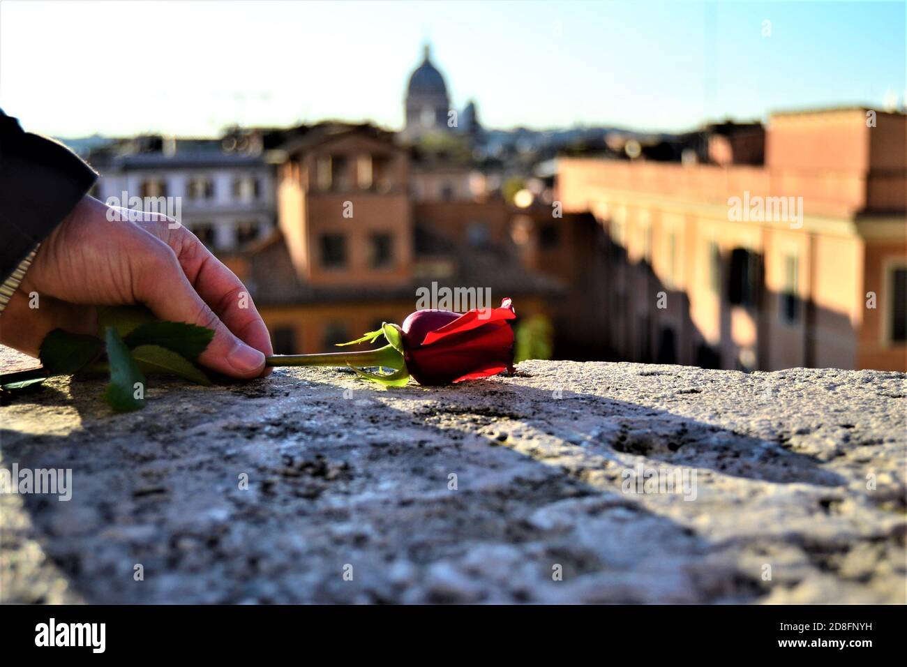Rose and Rome in the same frame. Red Rose and women hand with Rome City ...