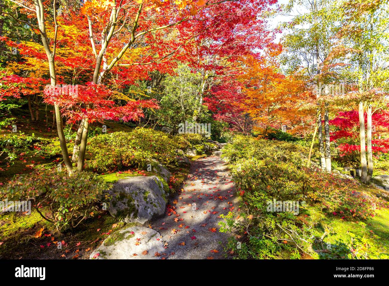 Japanese Garden in Autumn, Washington-USA Stock Photo