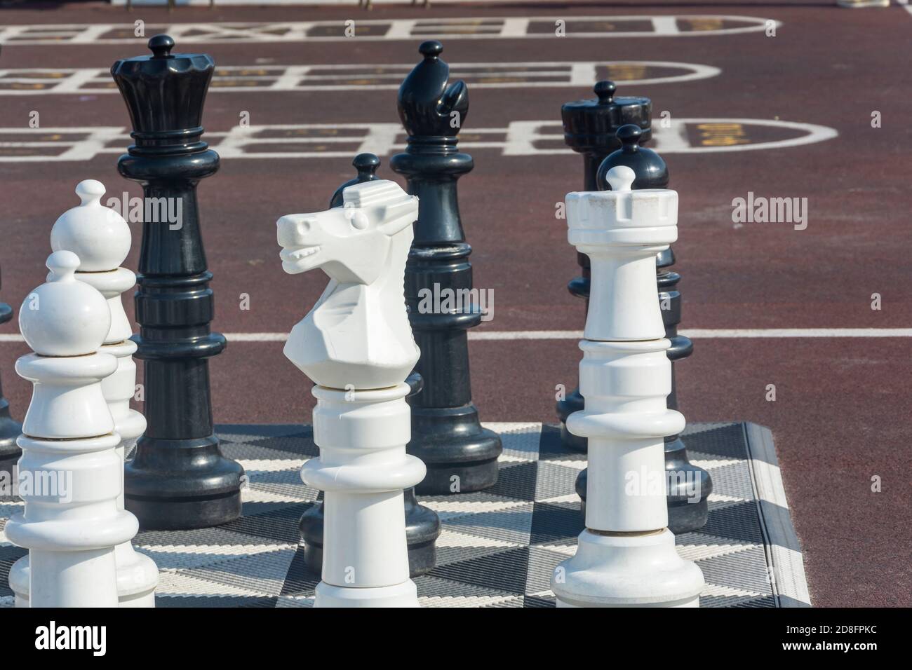 Big chess in park on chessboard. Giant pieces of white chess knight, black chess king and pawns close-up. Selective focus. Stock Photo