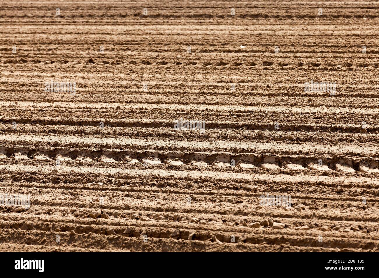 the plowed soil on which to grow cereal crops Stock Photo Alamy