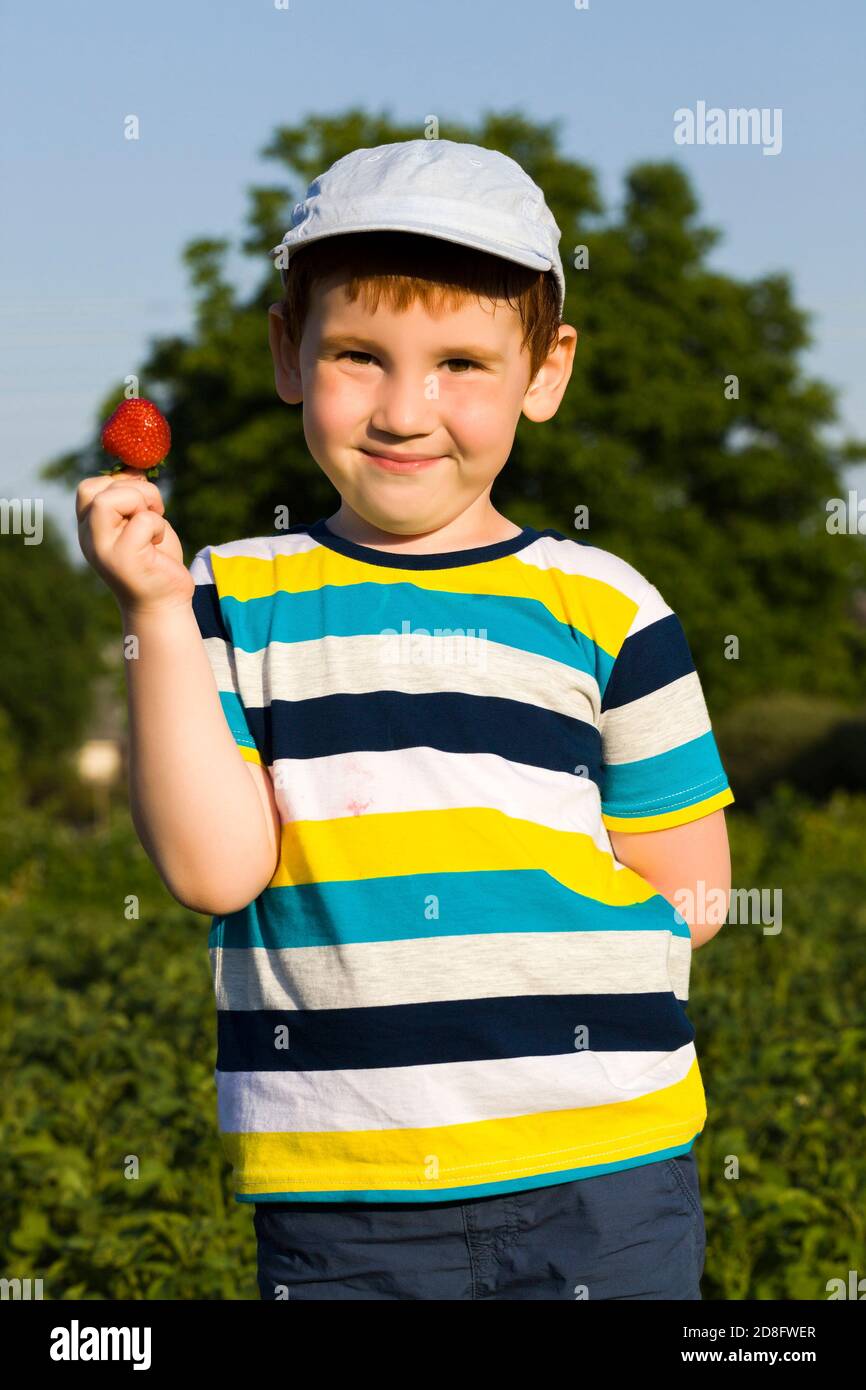 Boy eats strawberries hires stock photography and images Alamy