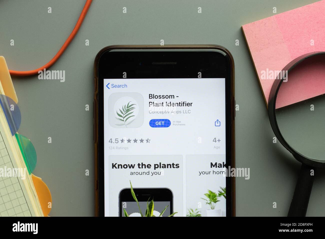 New York, USA - 26 October 2020: Blossom Plant Identifier mobile app logo on phone screen close up, Illustrative Editorial Stock Photo