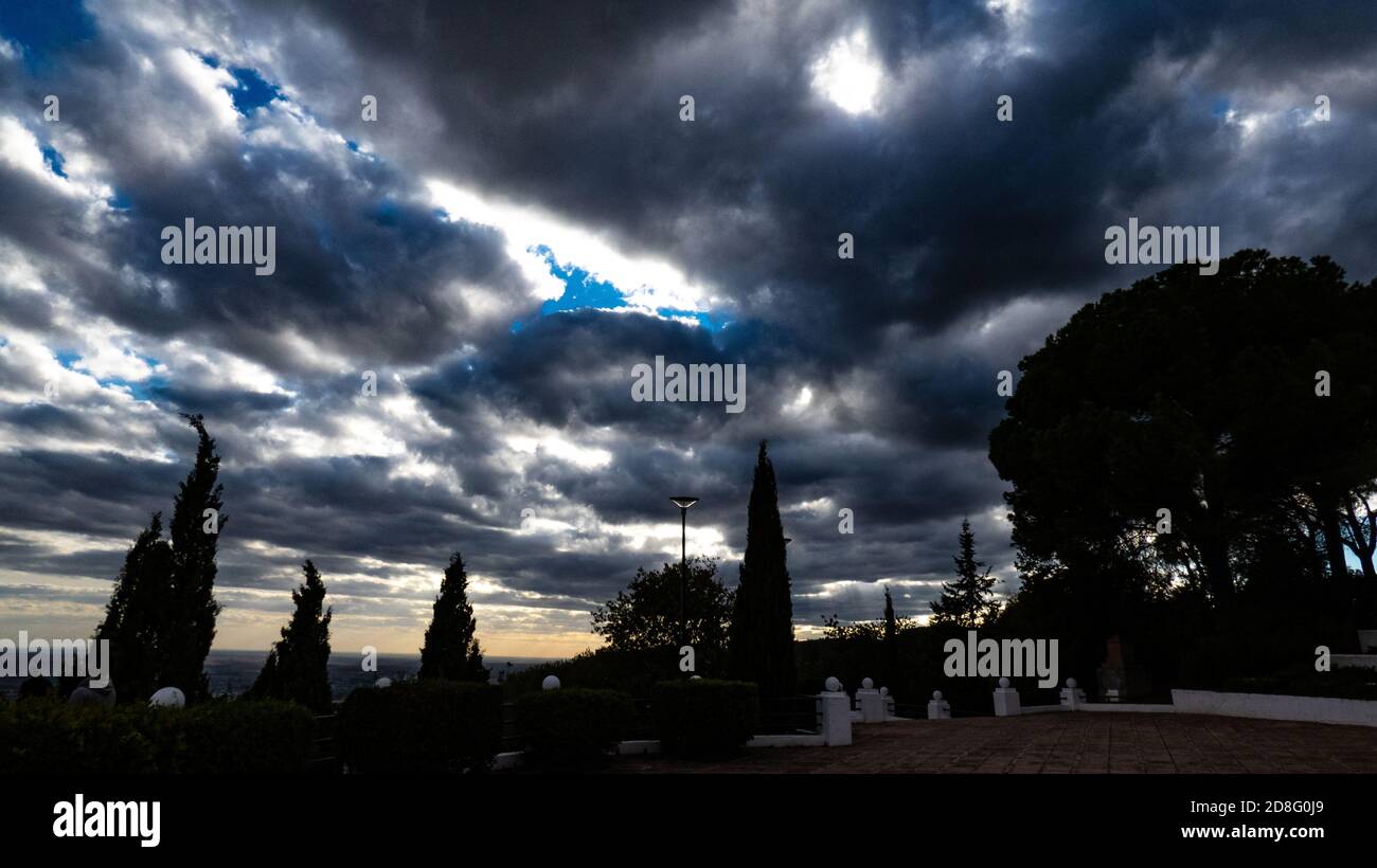 Park with trees under cloudy sky Stock Photo - Alamy