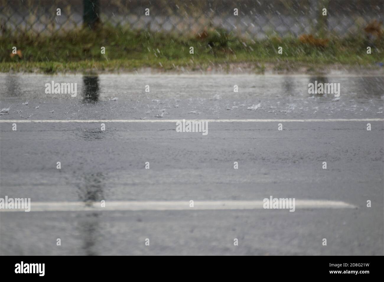 Dark grey a asphalt road and some grass by the roadside after the rain Stock Photo