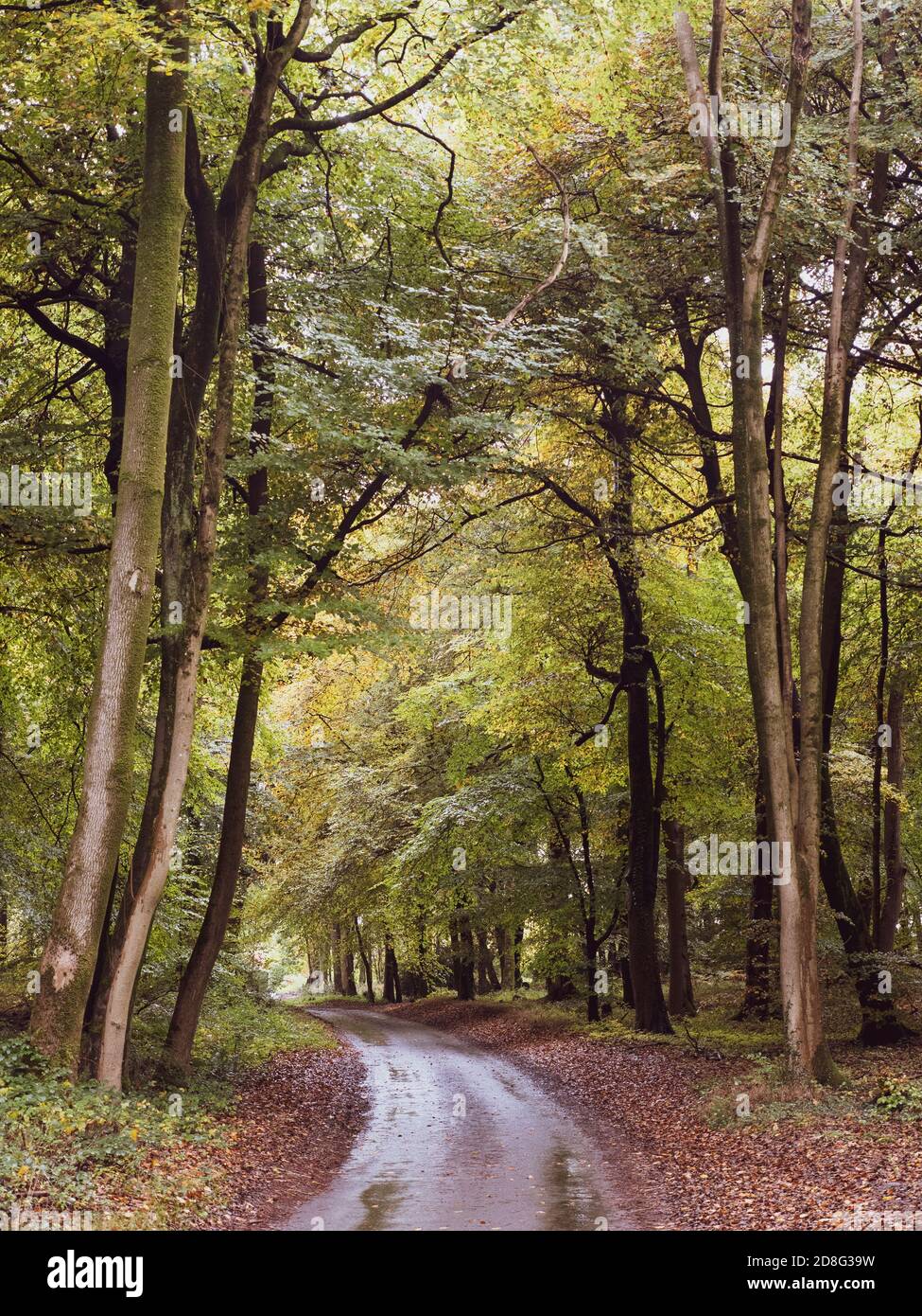 The Chilterns, Woodland Road, Marks Corner, Checkendon, Oxfordshire ...