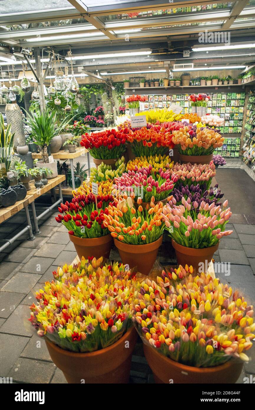 Flowers market of Amsterdam, Holland, Europe Stock Photo Alamy