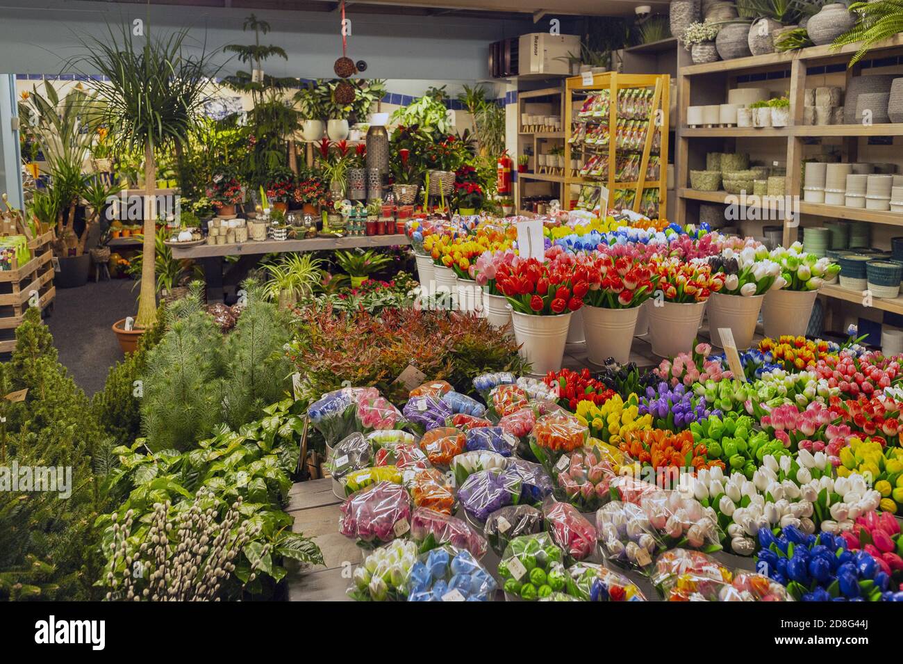Flowers market of Amsterdam, Holland, Europe Stock Photo Alamy