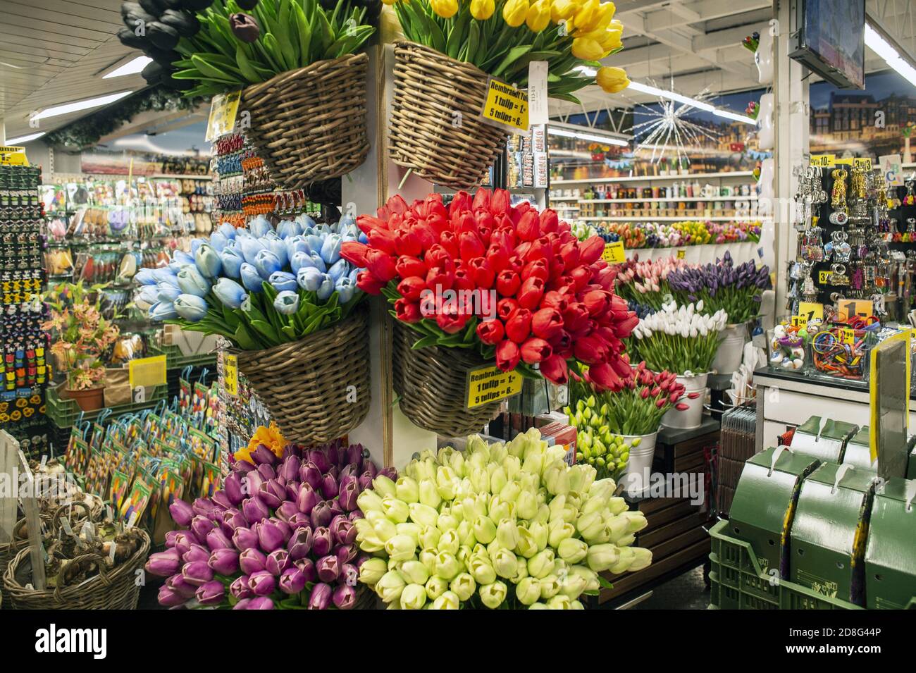 Flowers market of Amsterdam, Holland, Europe Stock Photo Alamy