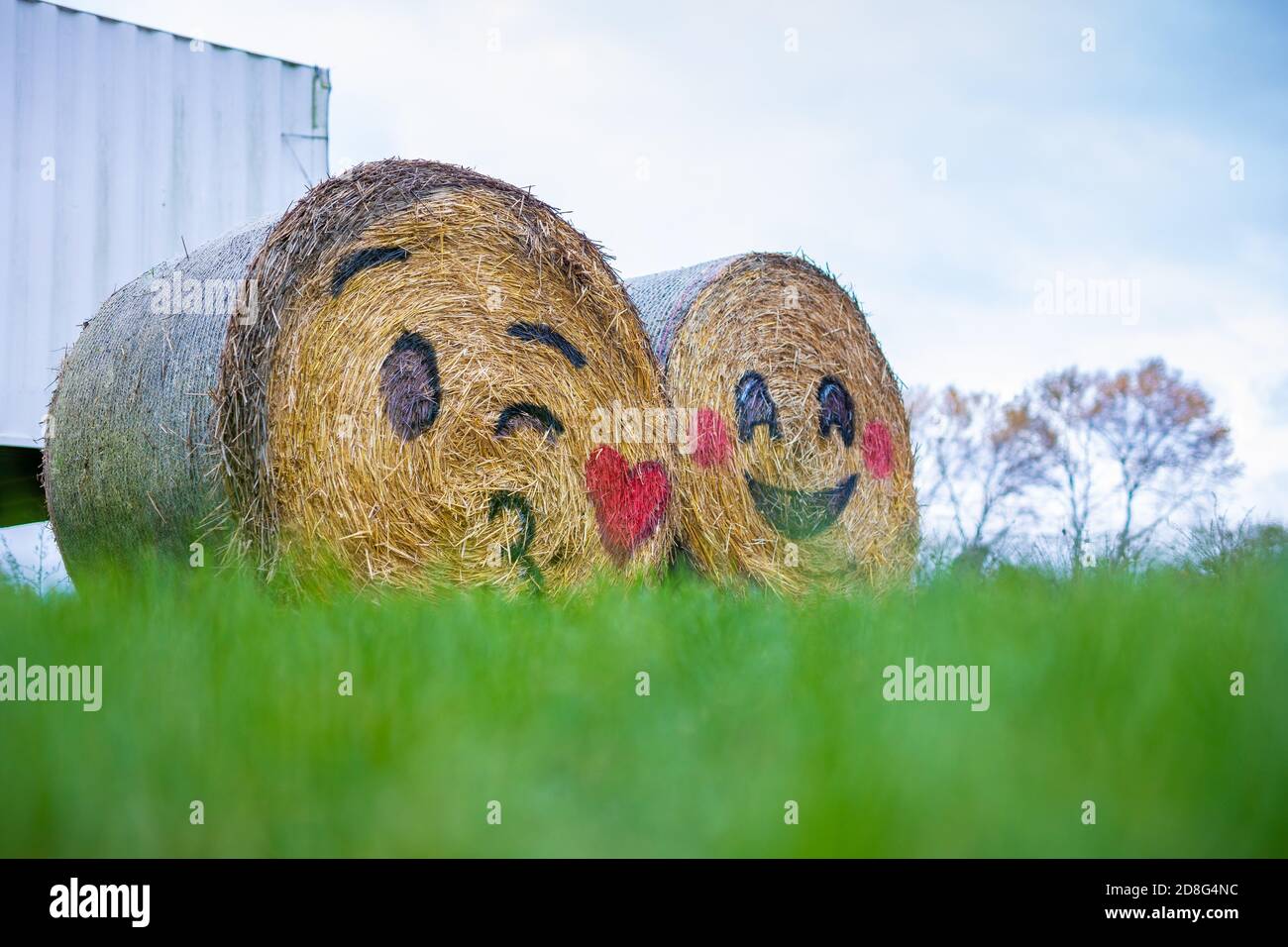 Emoji straw bales smiley faces hires stock photography and images Alamy