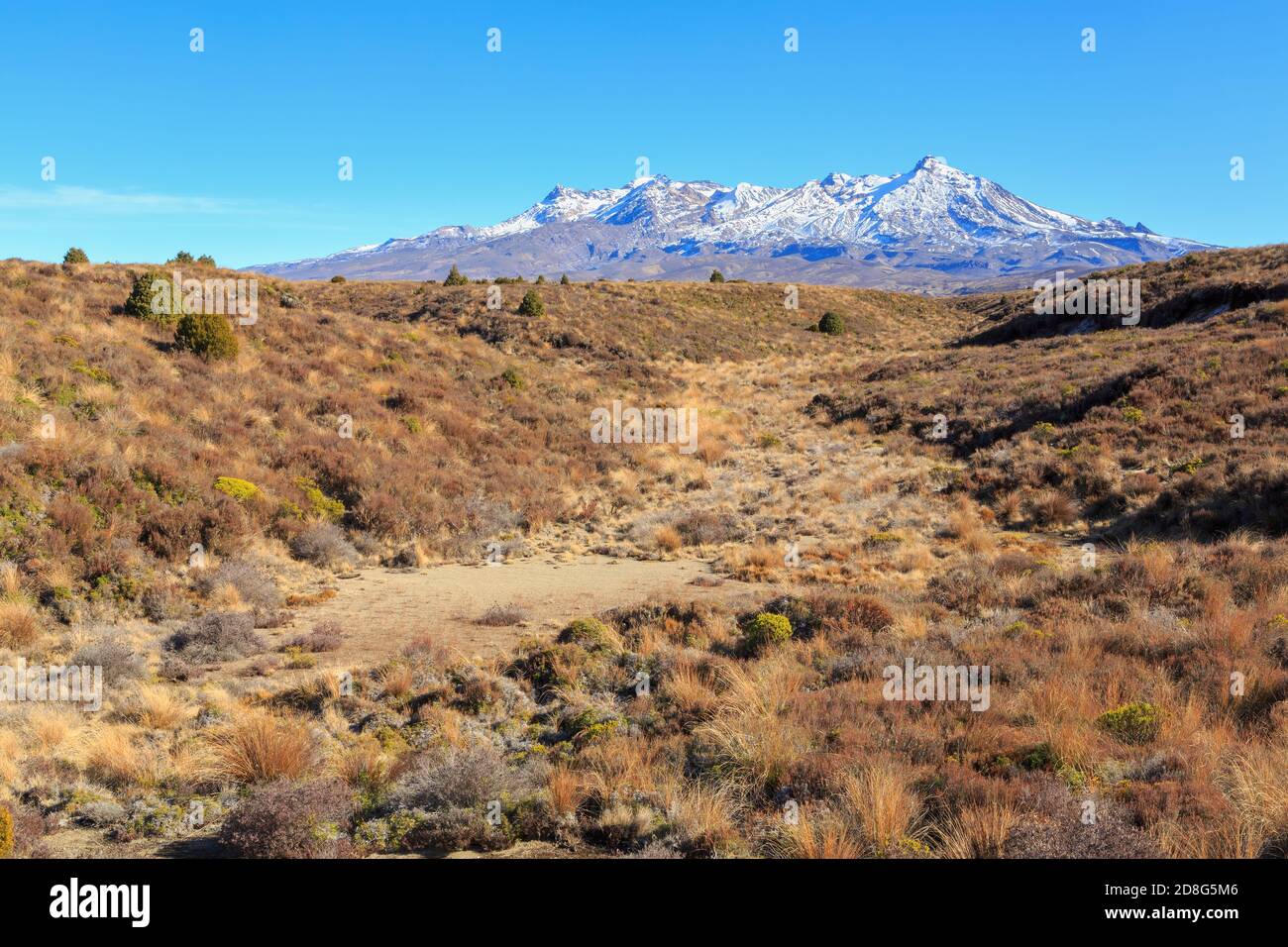 Mount Ruapehu, New Zealand, seen from the barren grasslands of the Rangipo Desert Stock Photo