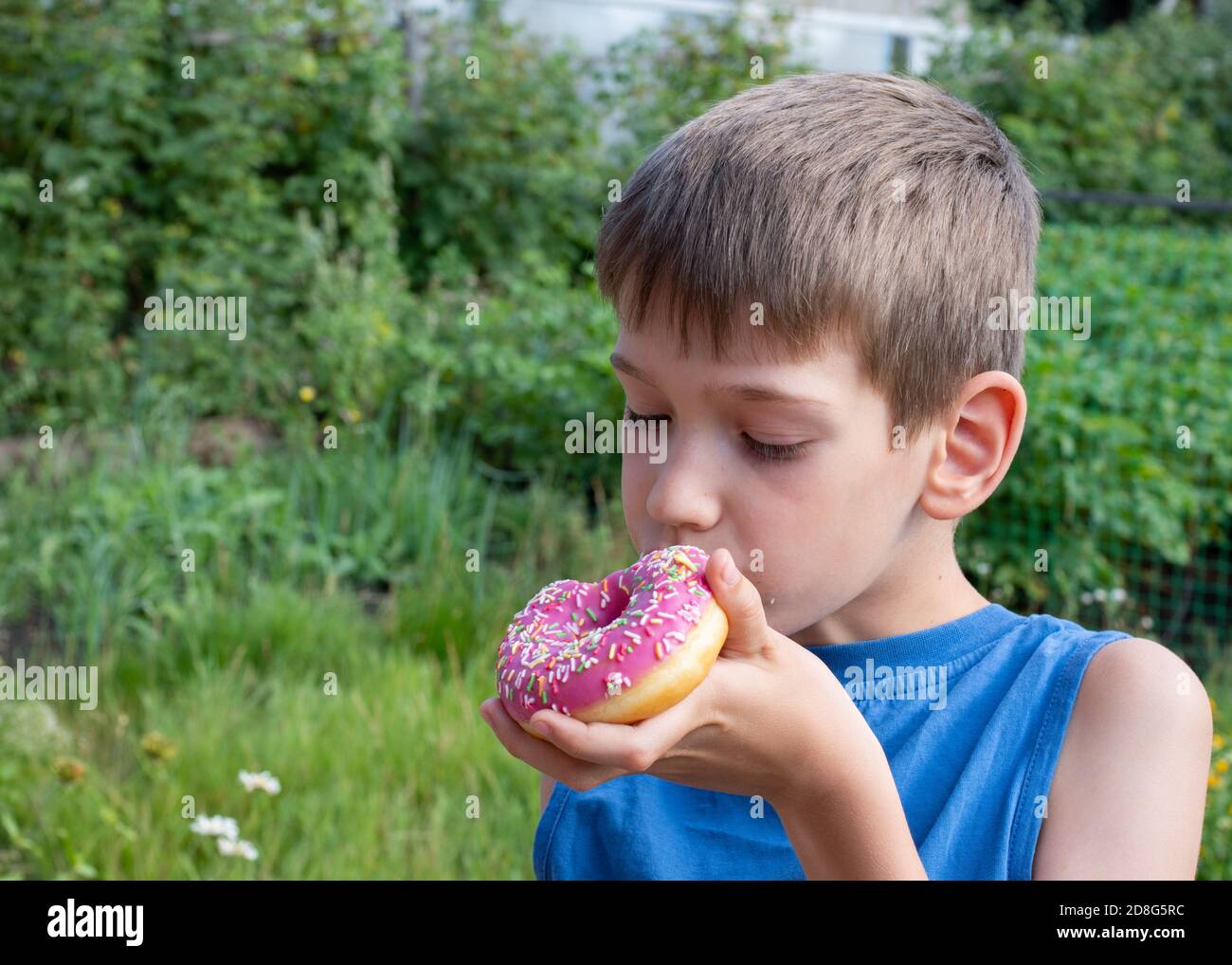 Caucasian boy eats pink donut. A child holds a sweet treat in the park. Unhealthy food concept, snacking sweet food Stock Photo