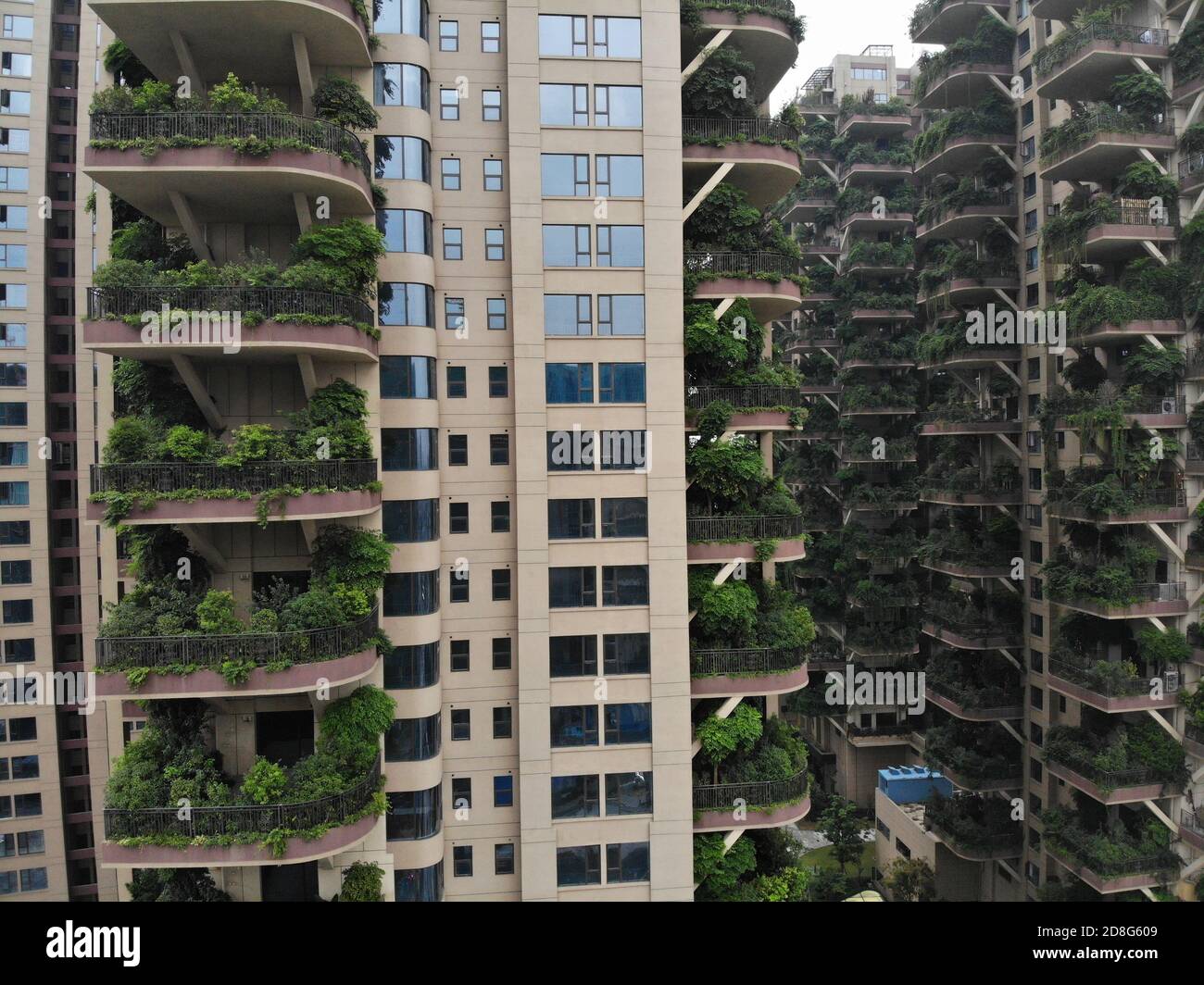 Eight 30-storey apartment buildings, which are all covered by green as ...