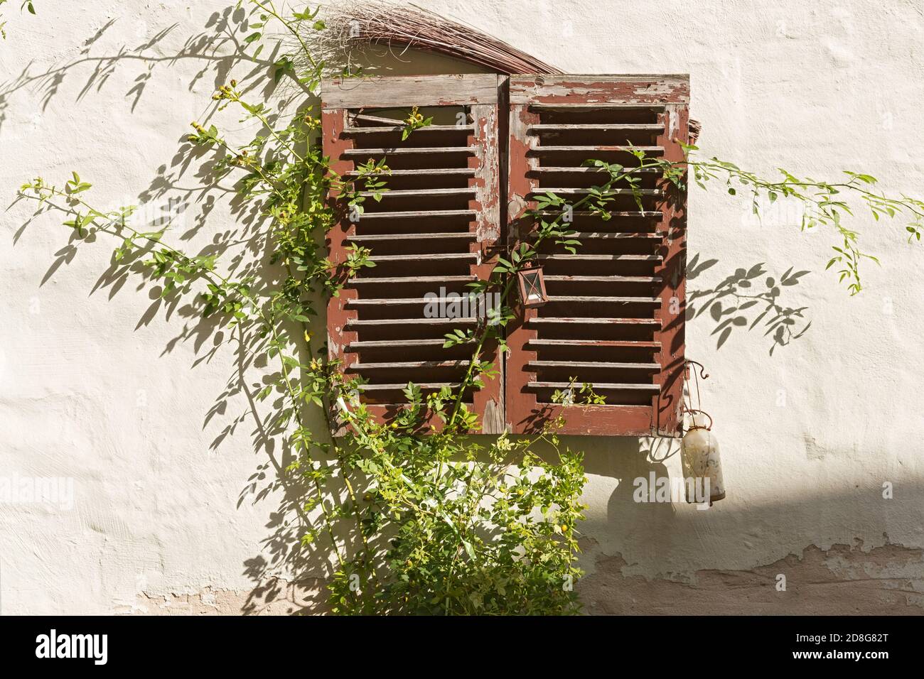 Beilngries, Innerer Graben, Wohnhaus, Fenster, alt, Strauch, Detail Stock Photo