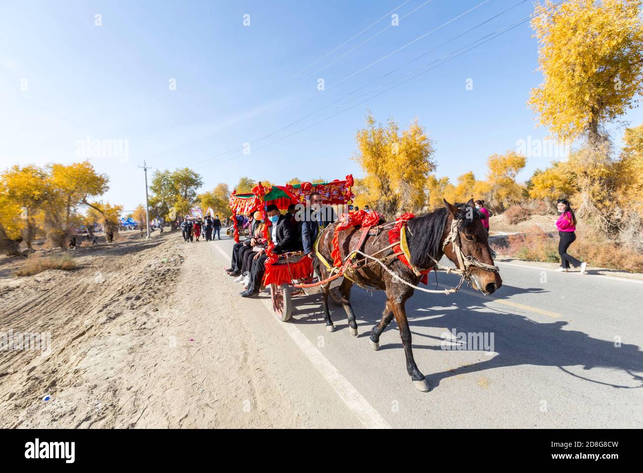 Xinjiang, Xinjiang, China. 30th Oct, 2020. XinjiangÃ¯Â¼Å'CHINA-On October 24, 2020, the 12th Shaya Euphrates Festival and the 2nd Shaya Heroes' Meeting were held in Shaya County, Xinjiang Province. The event opened in Shaya Zhou Scenic Spot on the south bank of tarim River in the county.During the event, the organizers will also hold a bicycle challenge, food exhibition, boating and other colorful series of activities. On the day of the event, the food exhibition area in the cauldron of mutton with a diameter of up to 3 meters and a weight of 2,000 kilograms attracted visitors to taste and Stock Photo