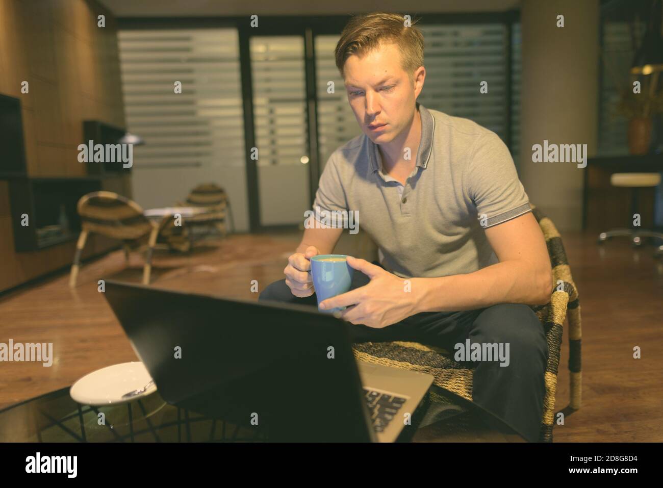 Young handsome man using laptop in the living room Stock Photo