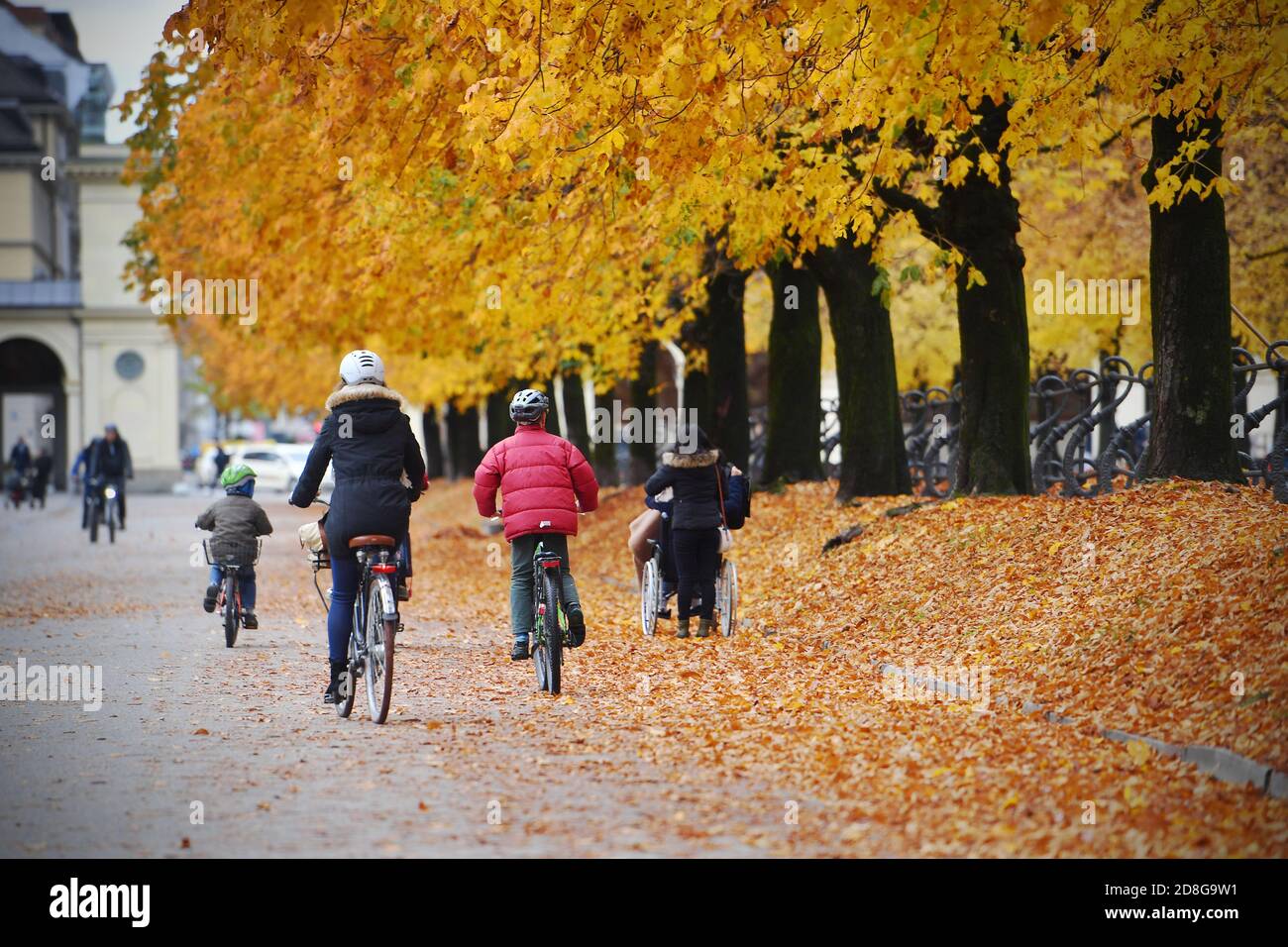 Theme picture: Autumn in Munich. Cyclists ride through the Hofgarten on October 27th, 2020 surrounded by brown and yellow autumn leaves. From November 2nd, the Lockdown light will come into force, which will result in far-reaching restrictions on personal freedom, pandemic, lockdown, shutdown, incidence value. | usage worldwide Stock Photo