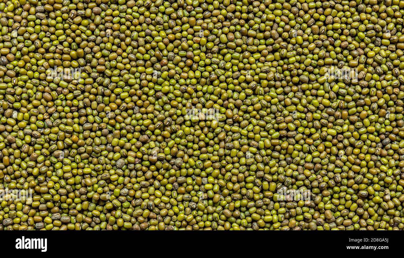 Background from mung bean or green gram Stock Photo