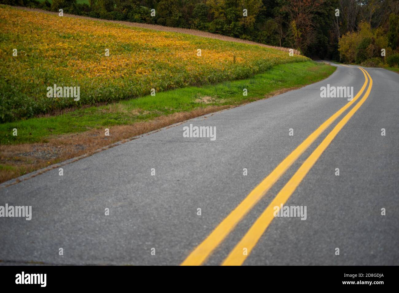 Country road curves through Autumn farmland and woods Stock Photo