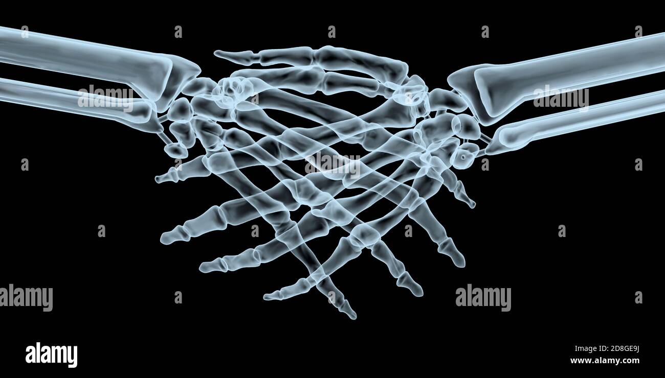 Two human hands handshake xray, 3d illustration Stock Photo
