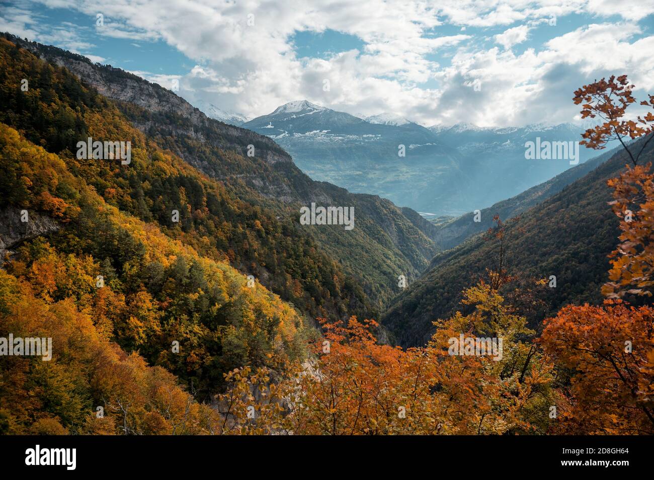 wonderful autumn forest in Derborence, Valais Stock Photo