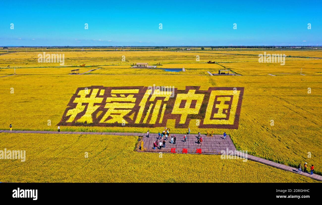 Five enormous yellow Chinese characters saying
