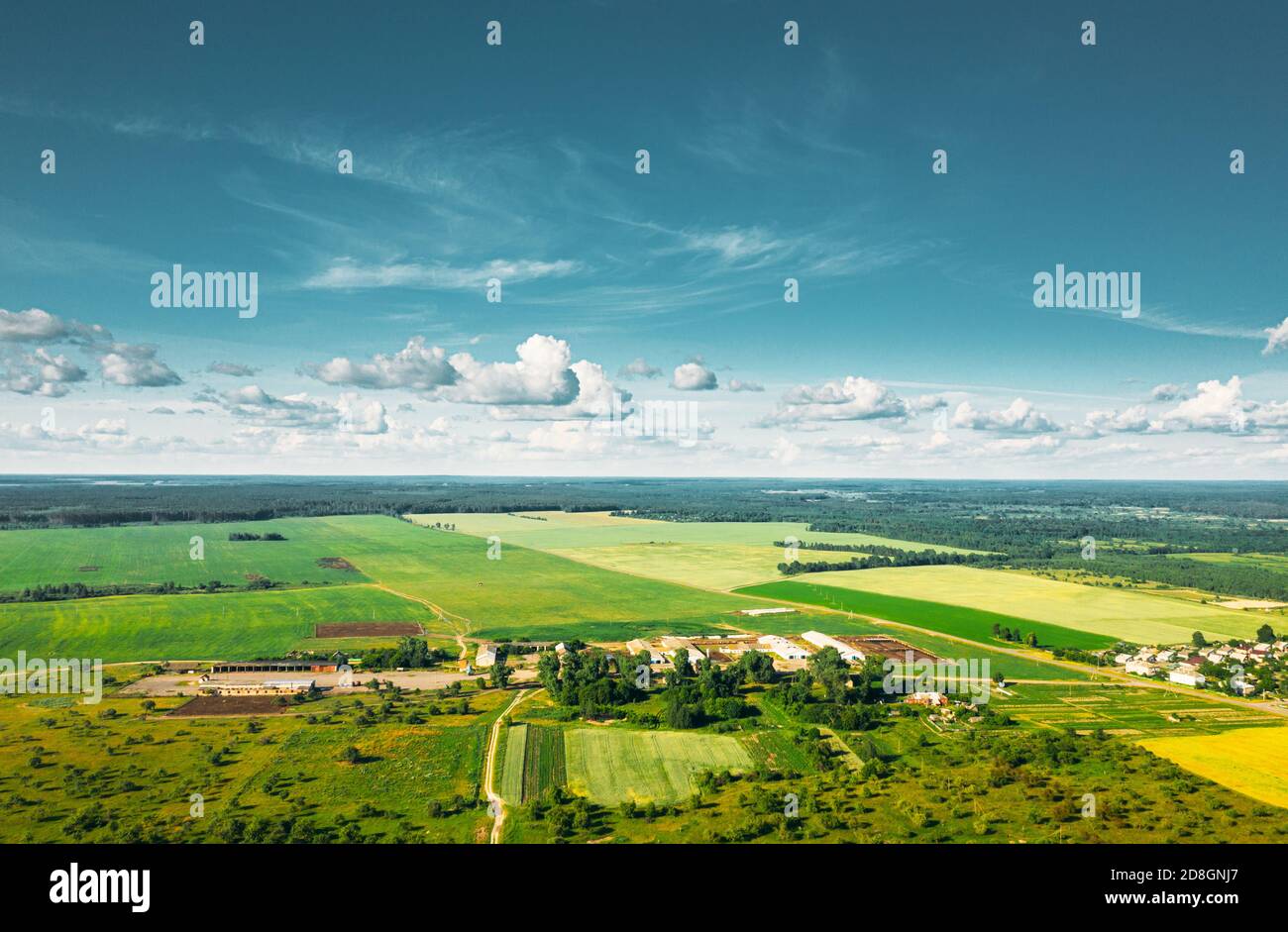 Aerial Bird's-eye View Of Building Of Cowshed Cow Farm Located In Countryside In Sunny Summer Day. Animal Husbandry Area Stock Photo