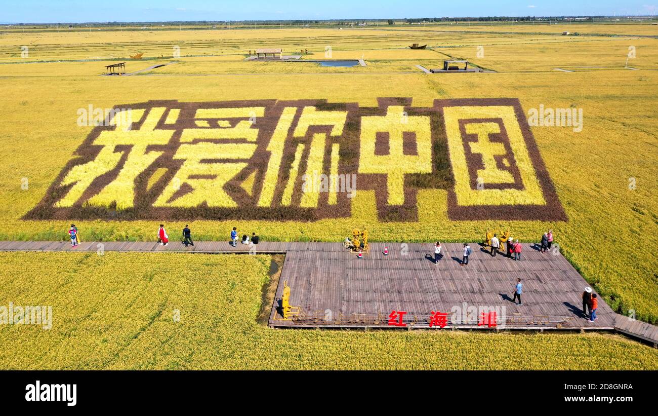 Five enormous yellow Chinese characters saying