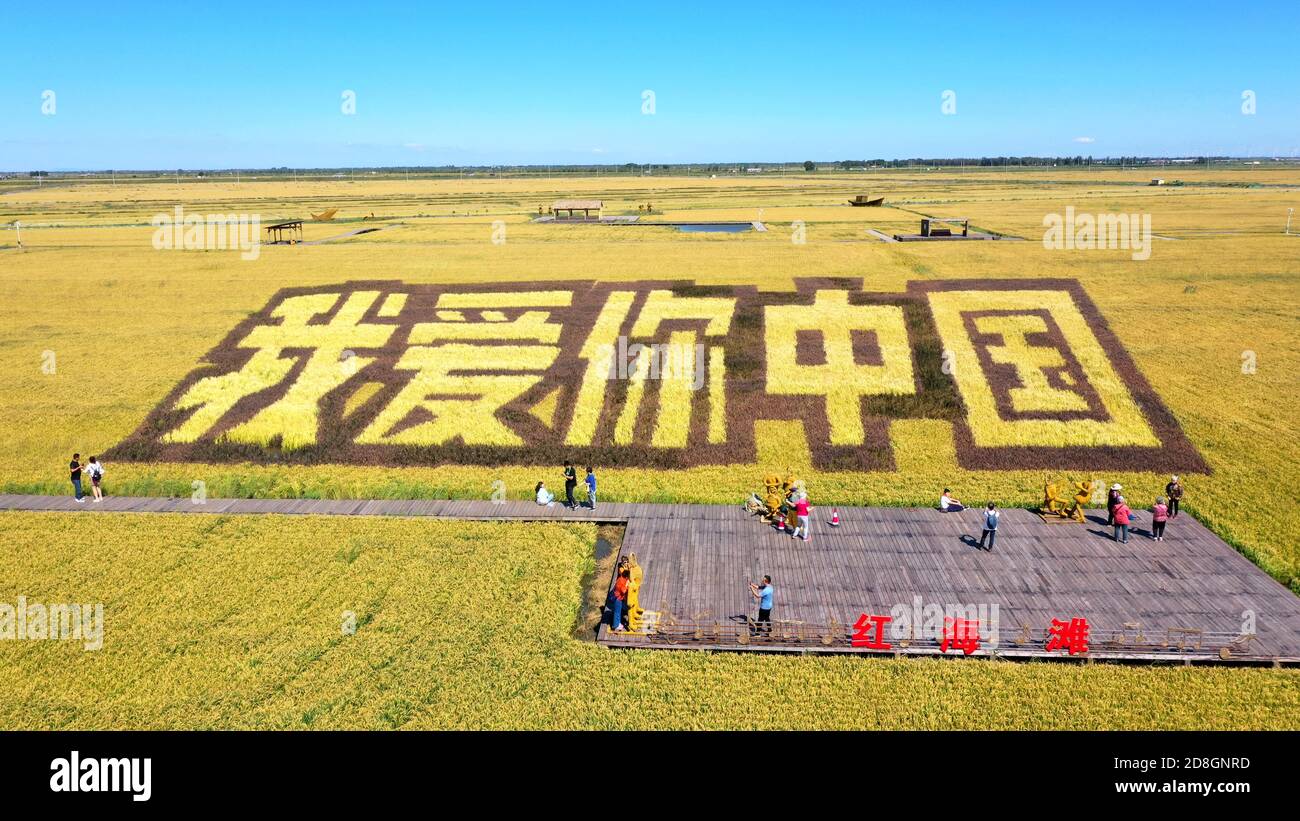 Five enormous yellow Chinese characters saying