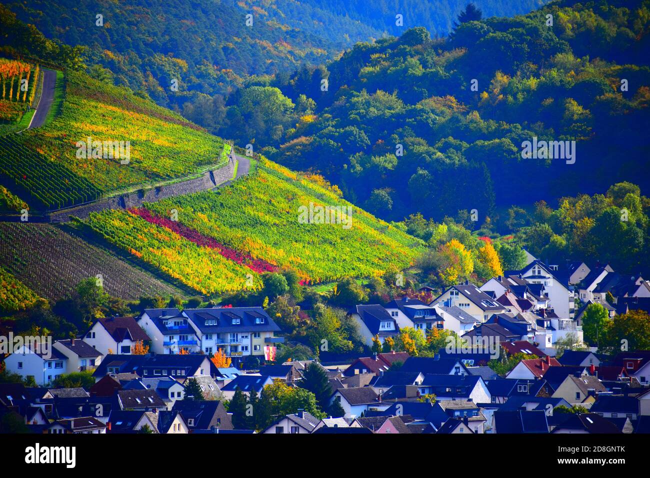 autumn landscape in the lower Ahr valley with colorful vineyards hills around Bad Neuenahr-Ahrweiler Stock Photo