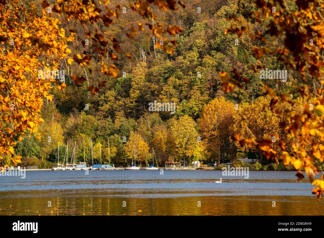 Lake Baldeney, on the west bank, Heisingen district, Essen, autumn, NRW,  Germany Stock Photo - Alamy