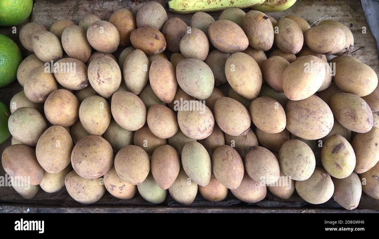 closeup view of stocked raw fruit Chikoo, Manilkara zapota commonly known as sapodilla, sapota, chikoo Stock Photo
