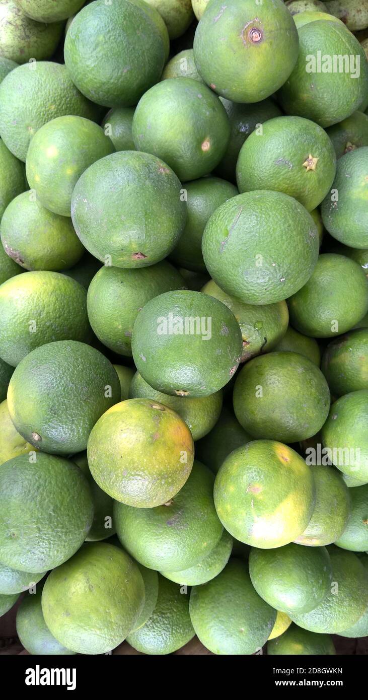 Citrus limetta mousambi sweet lime sweet lemon and sweet limetta kept well stocked Stock Photo