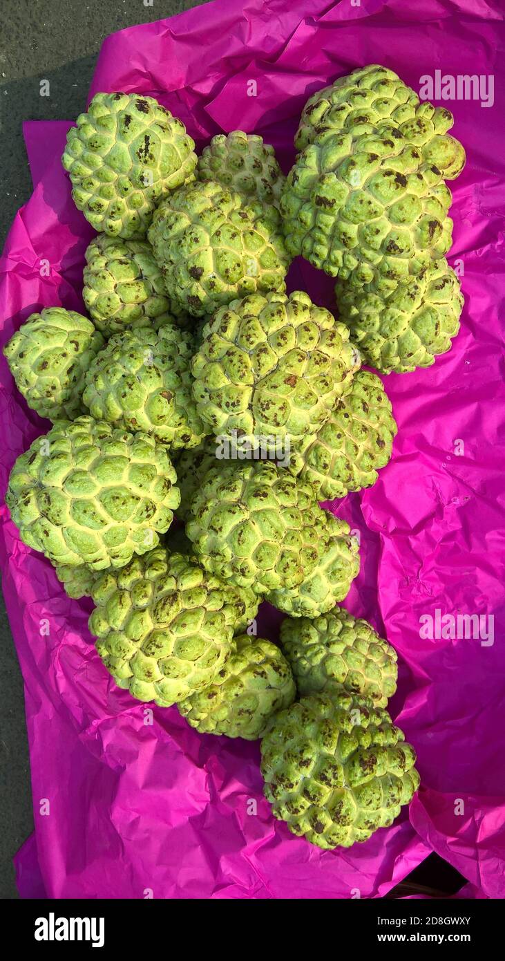 View of sugar apple or sweetsop also known as custard apple or Sitaphal Stock Photo