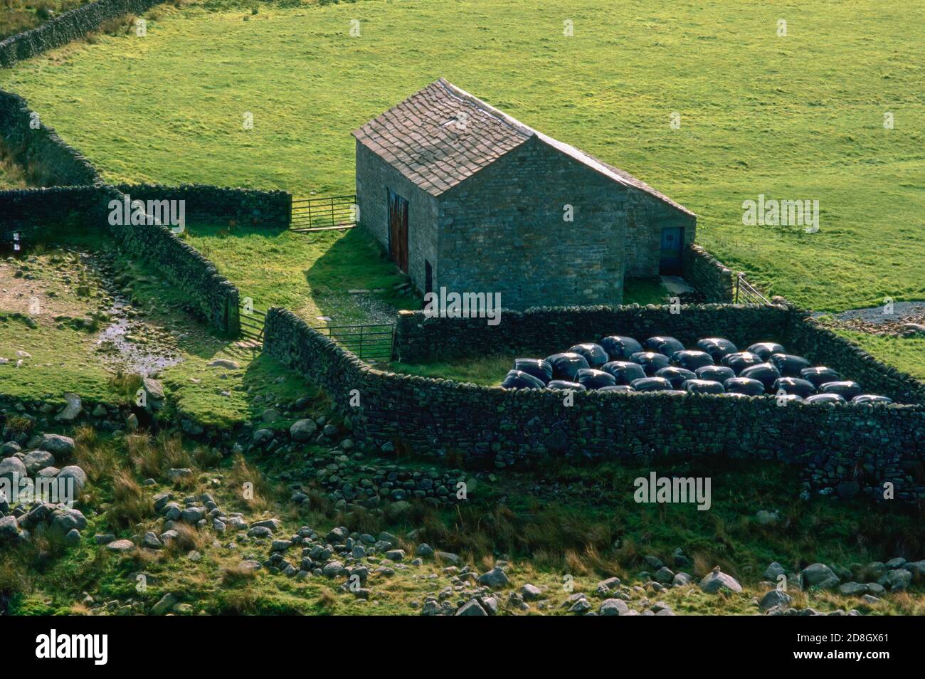 Pea Carr Barn at Tarnbrrok in the Forest of Bowland Lancashire Stock Photo